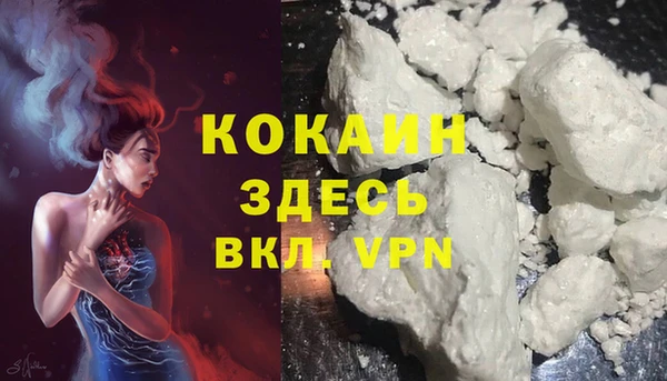СК Аркадак