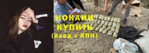 крисы Арсеньев