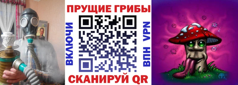 Псилоцибиновые грибы мицелий  как найти закладки  Ахтубинск 